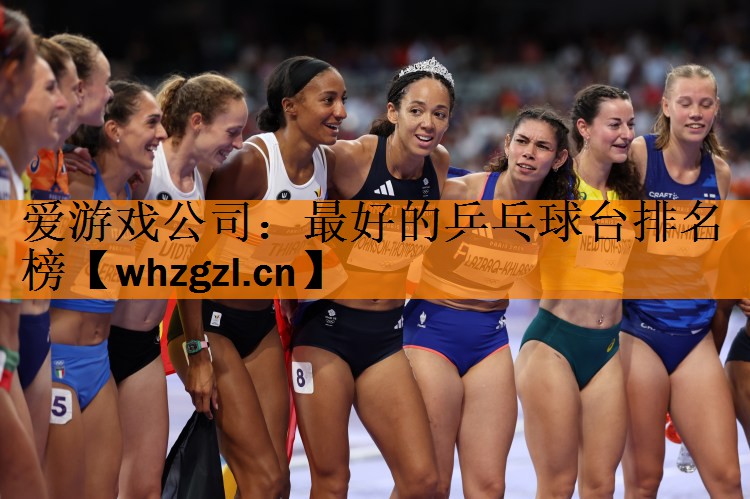 爱游戏公司：最好的乒乓球台排名榜